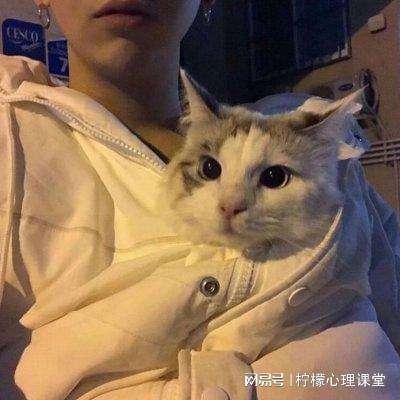 三国杀名将传手游小米版下载
