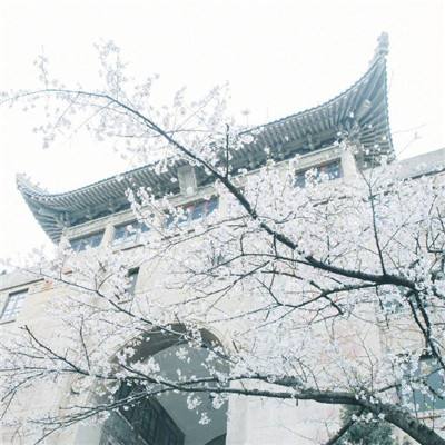 终末阵线伊诺贝塔bilibili版下载